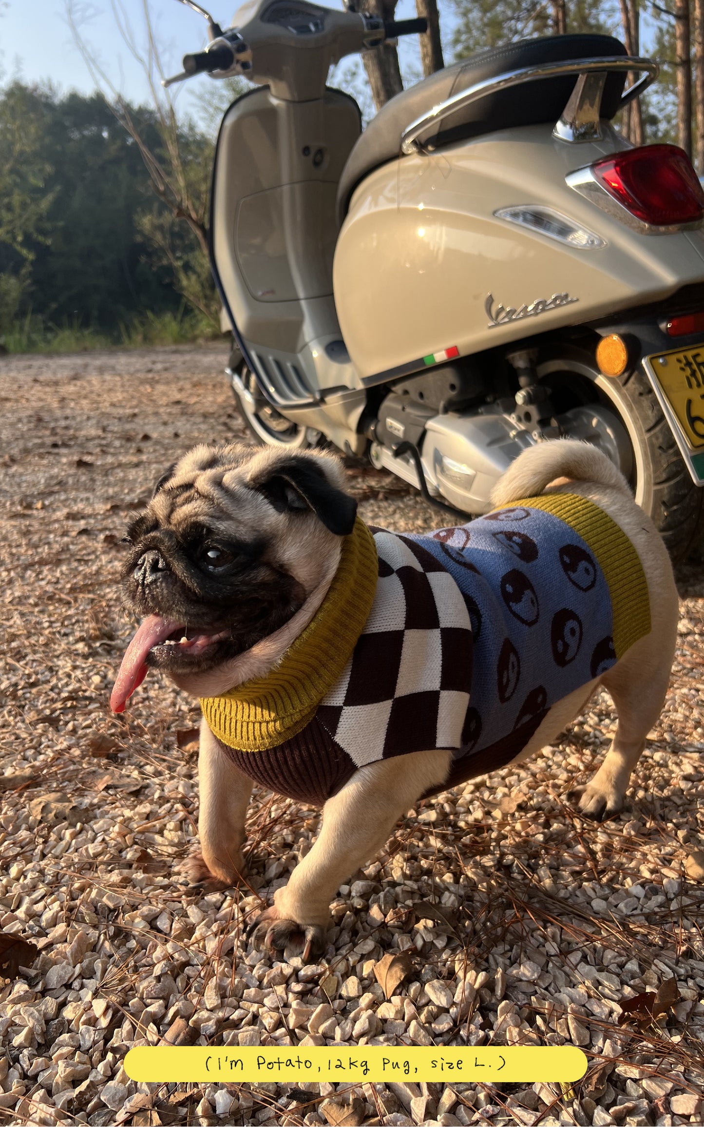 TAiChi Checkered Sweater
