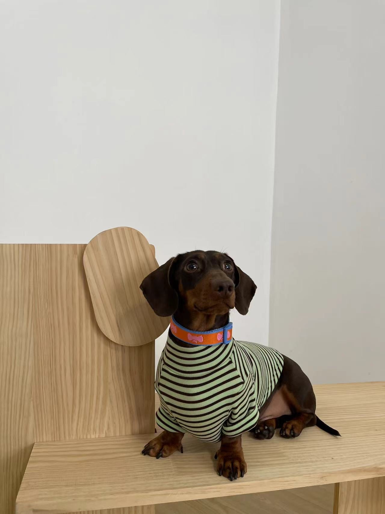 Chocolate Mint Chip Shirt