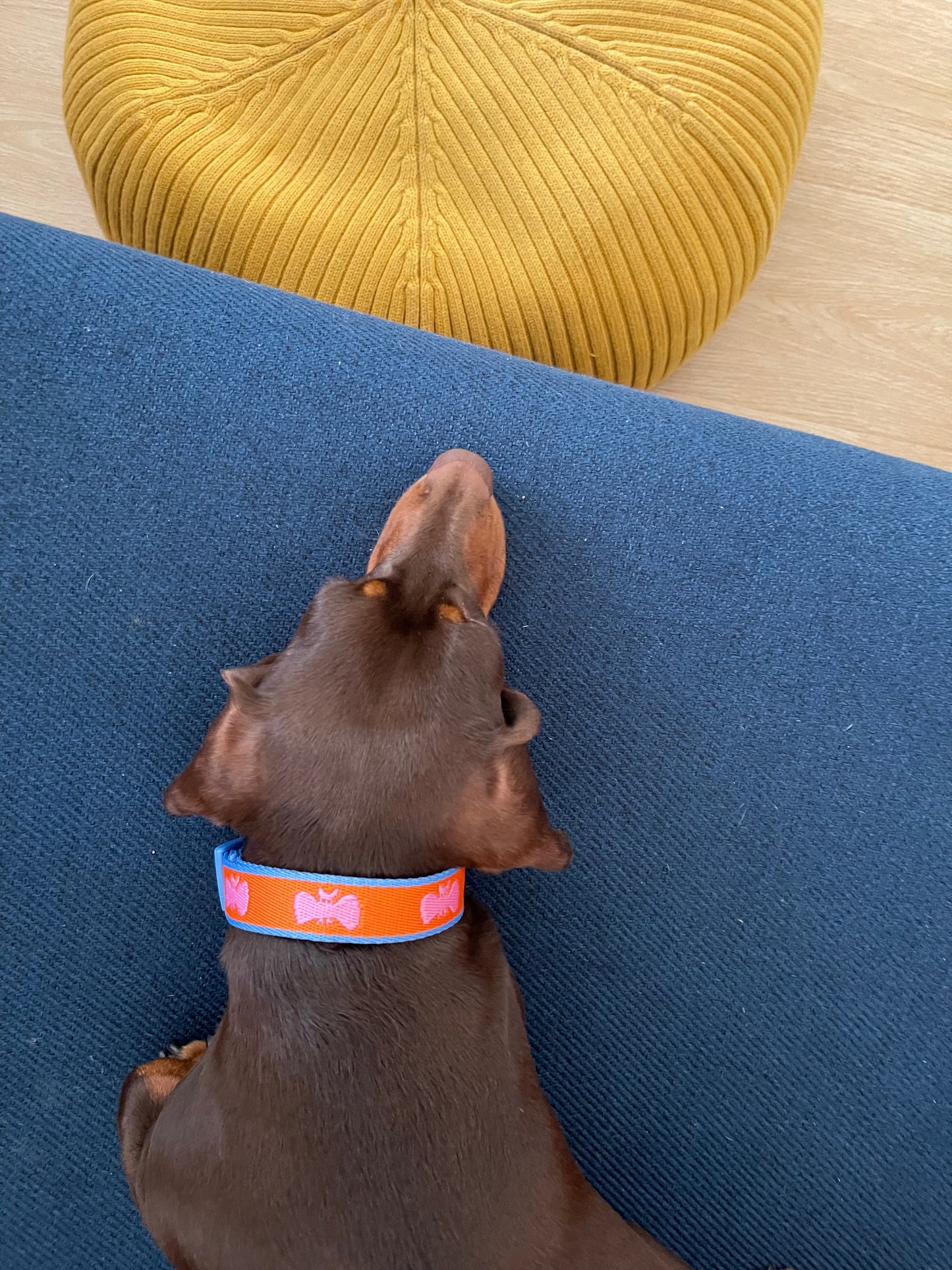 FUFU Collar - PINK