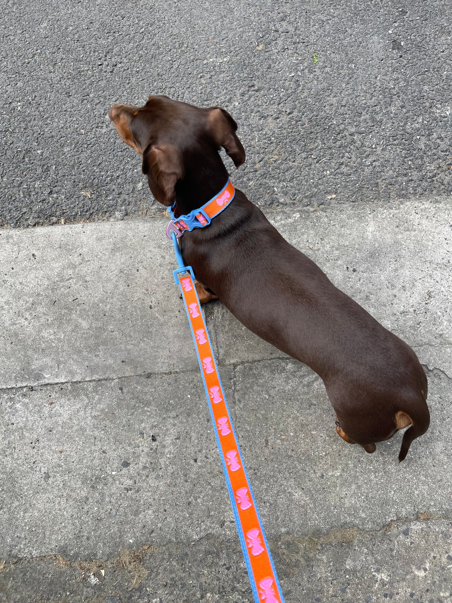 FUFU Collar - PINK