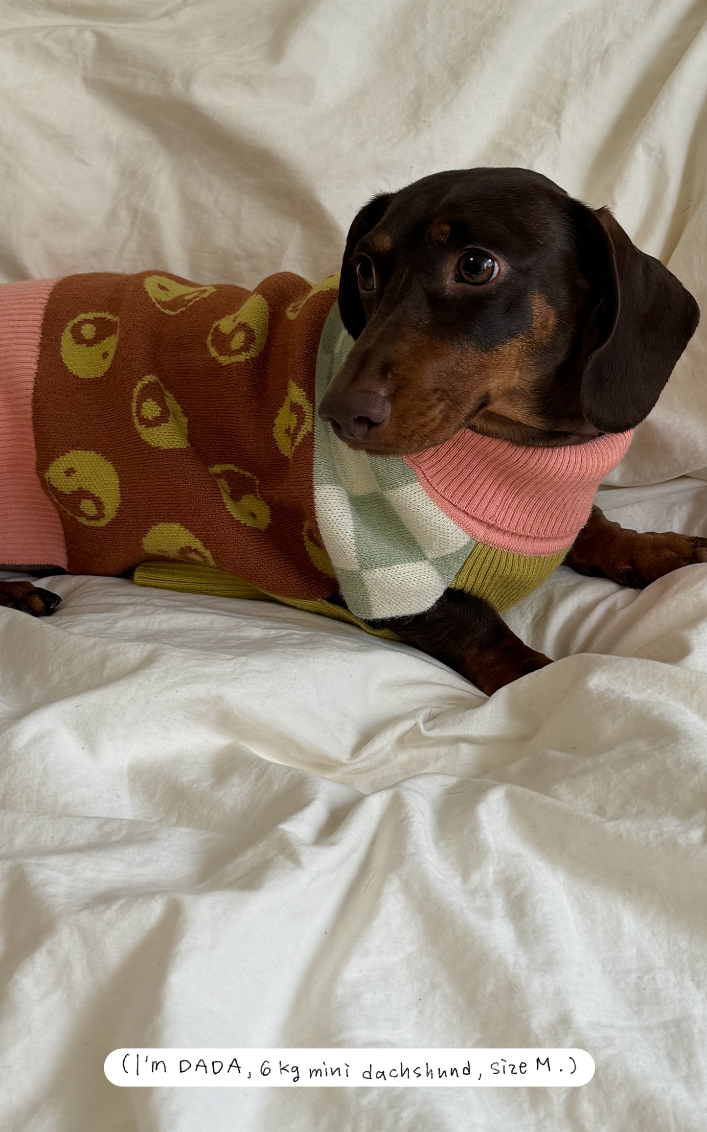 TAiChi Checkered Sweater