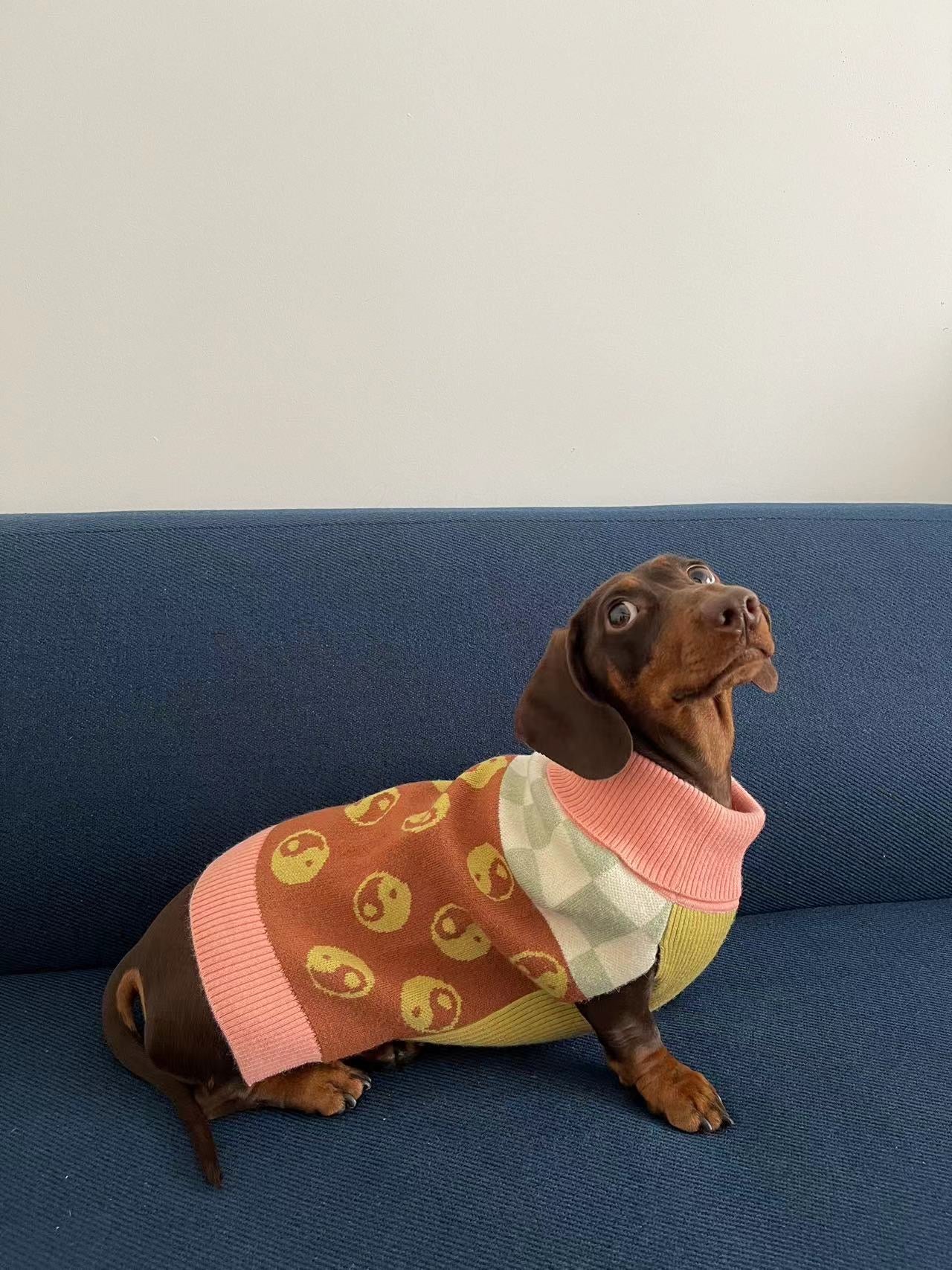 TAiChi Checkered Sweater