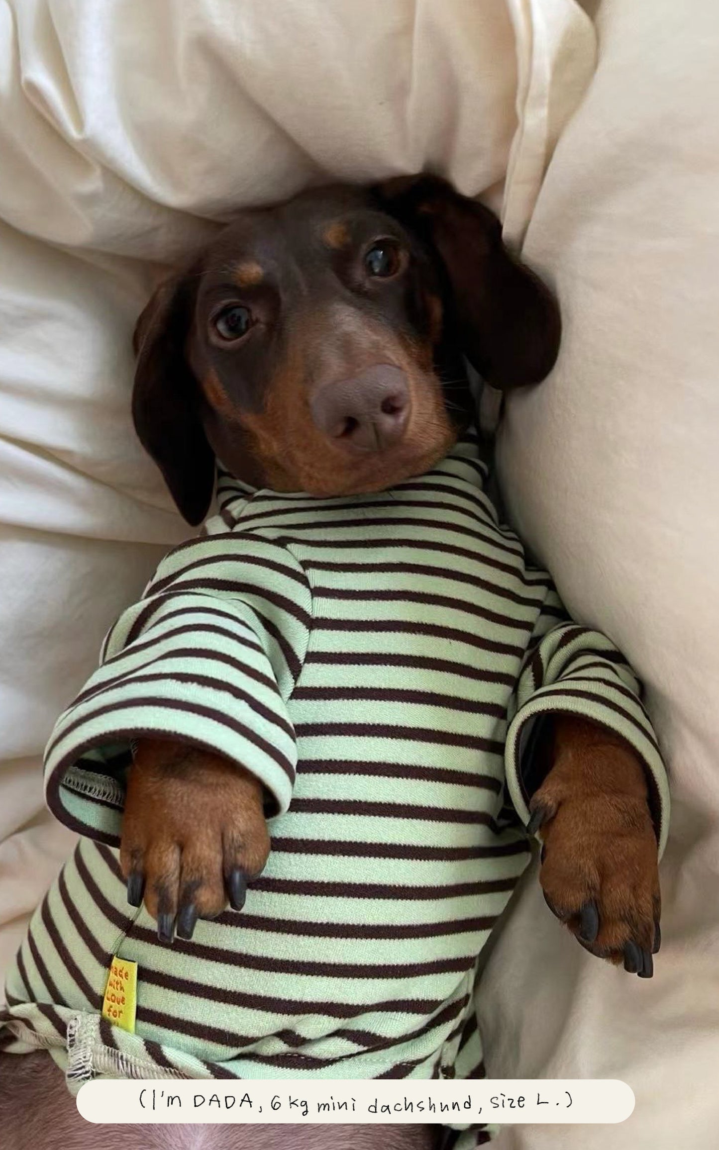 Chocolate Mint Chip Shirt