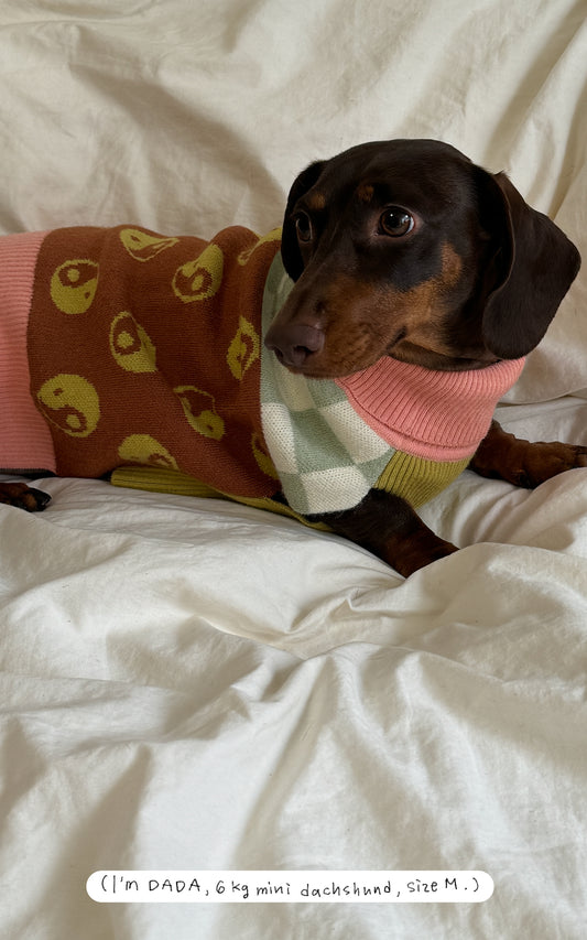 Lucky TAiChi Checkered Sweater